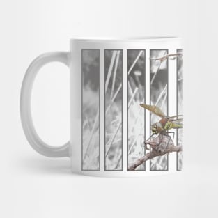 Hairy Dragonfly Mug